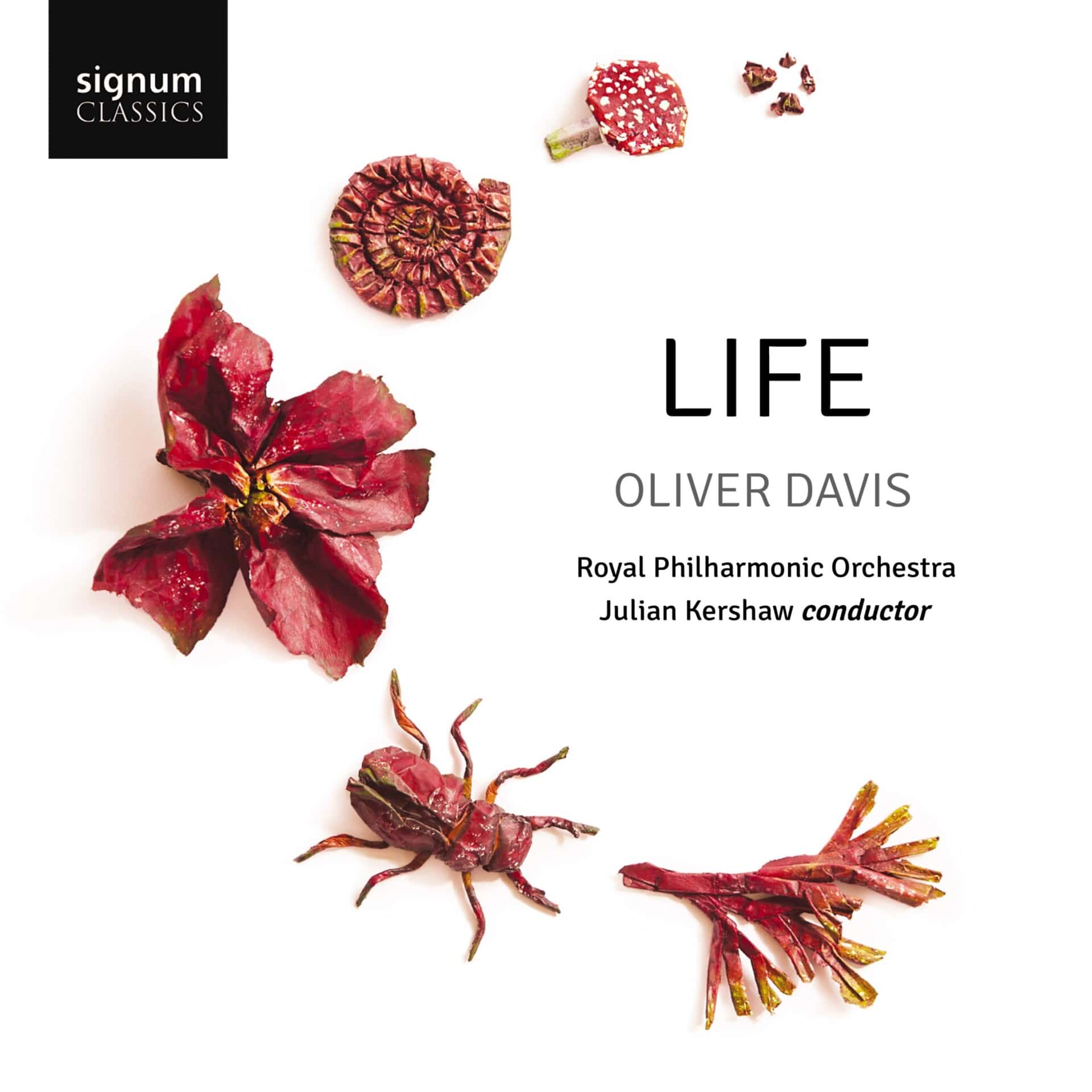 Cover: life