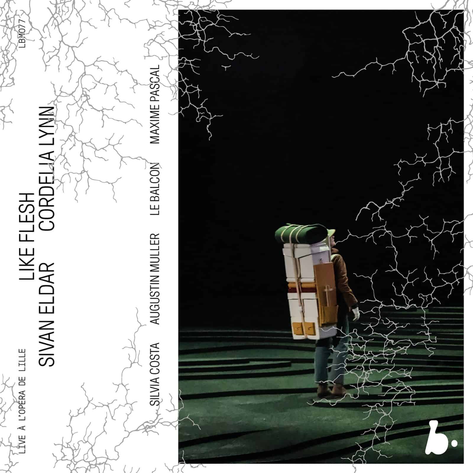 Cover: Like Flesh