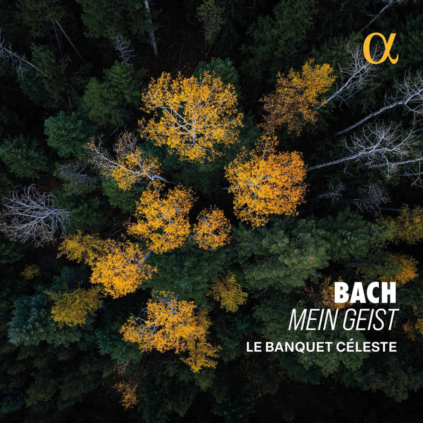 Cover: Mein Geist