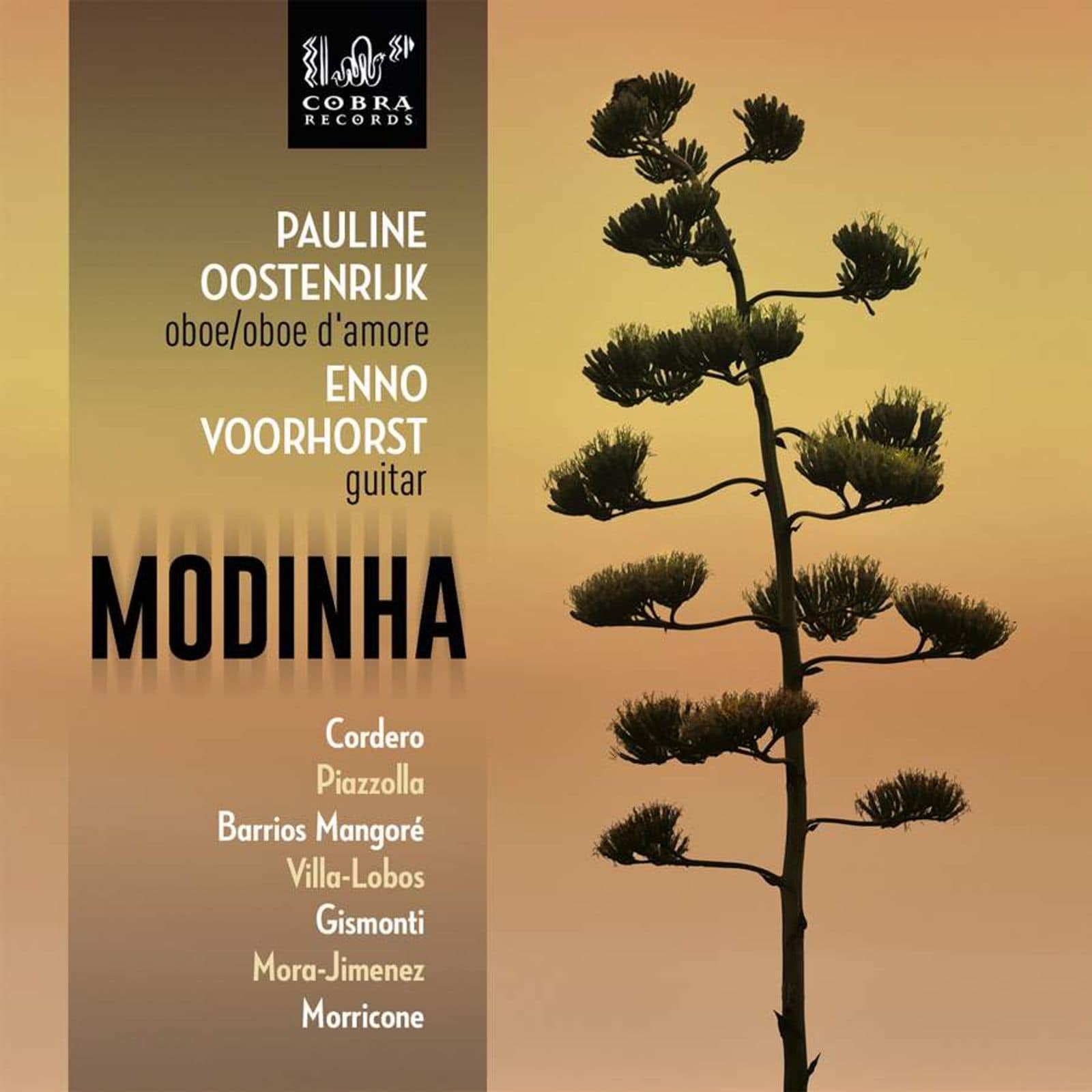 Cover: Modinha