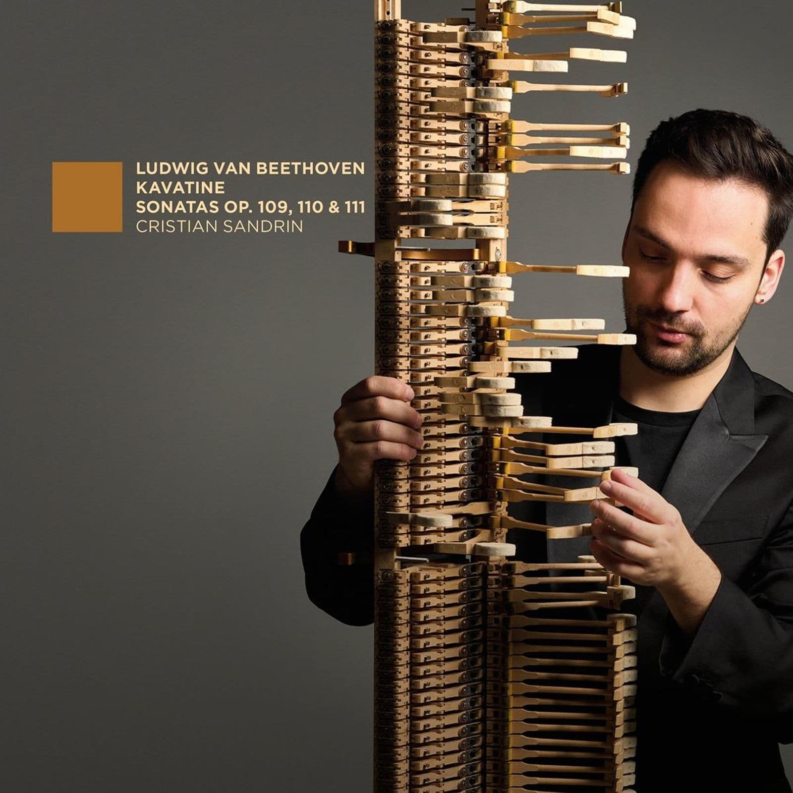 Cover: Piano Sonatas