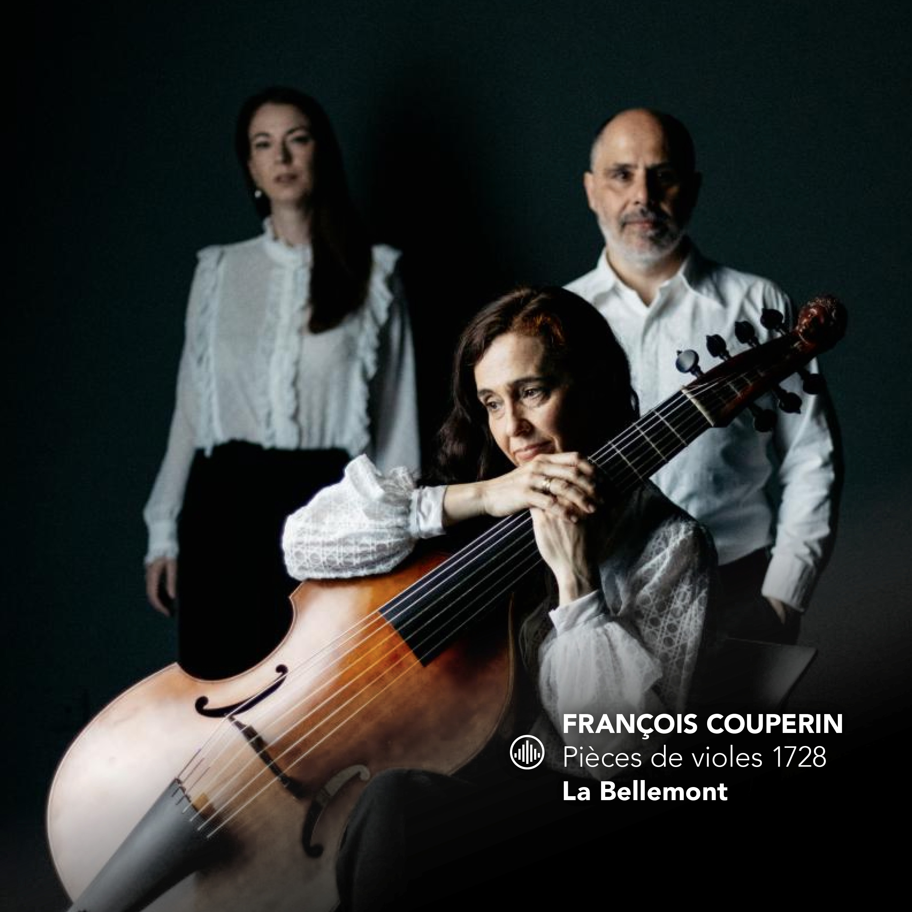 Cover: Pièces de violes