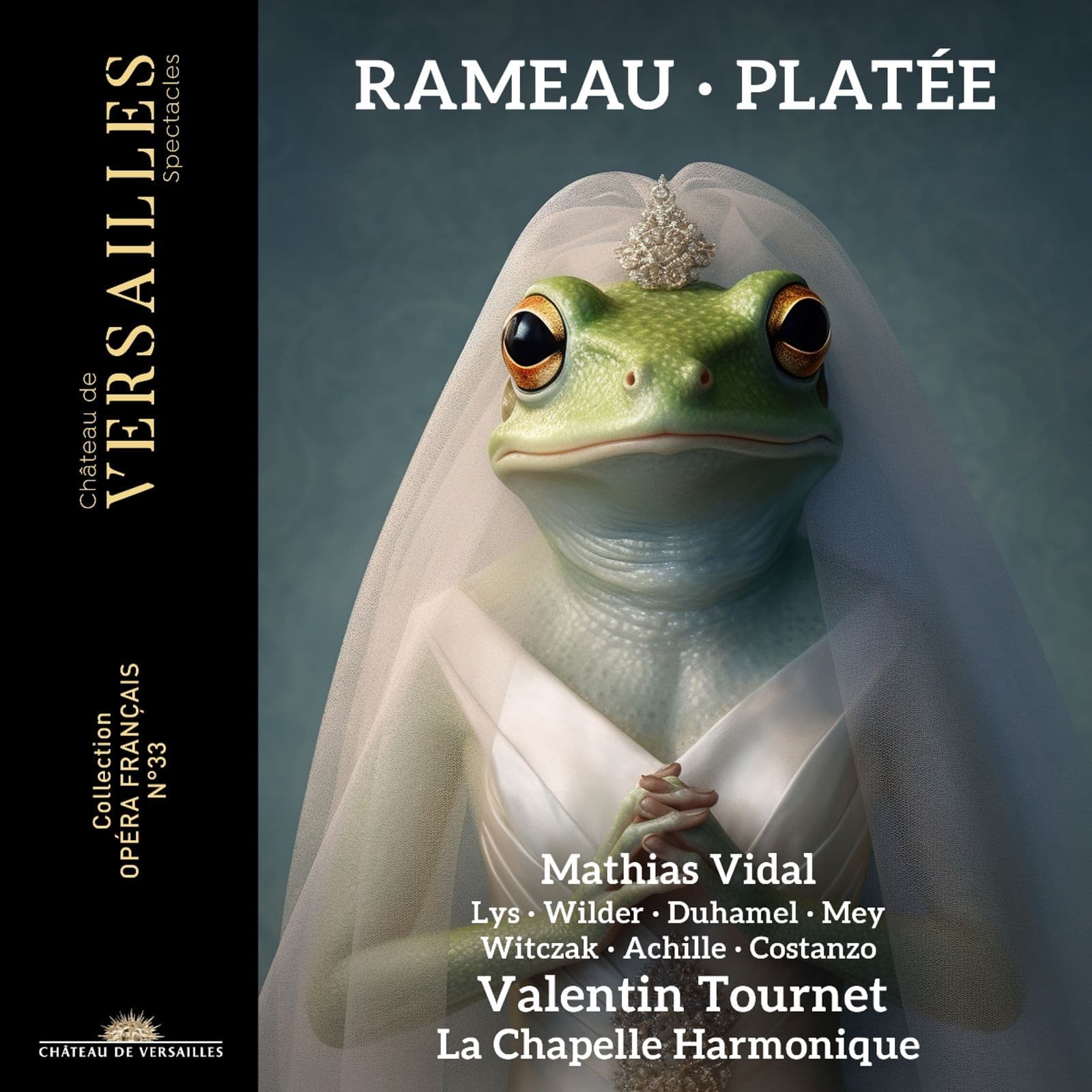 Cover: Platee