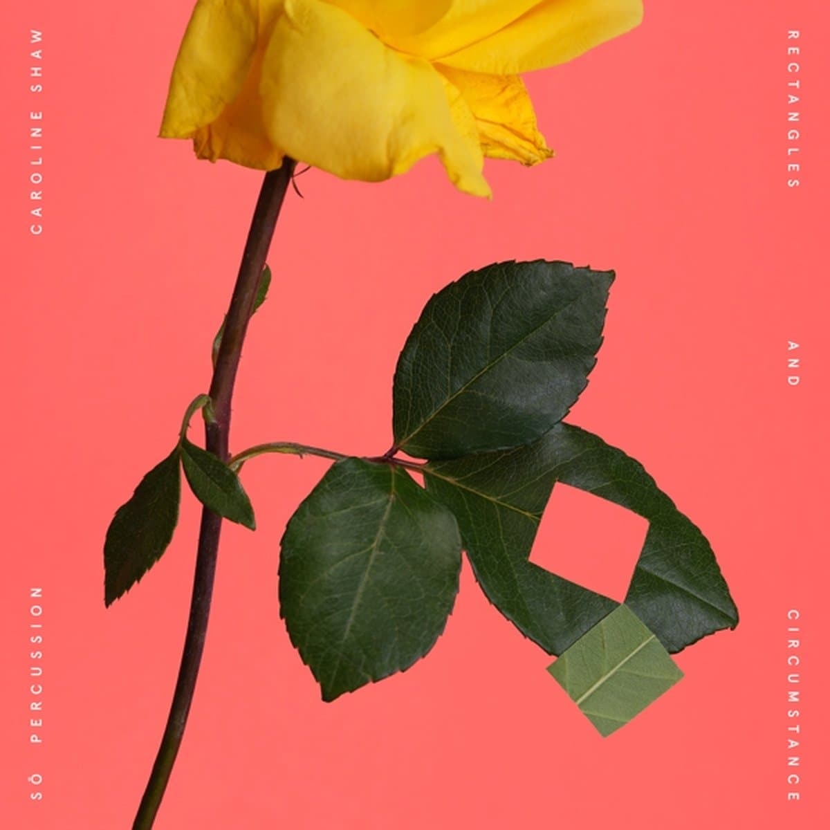 Cover: RECTANGLES AND CIRCUMSTANCE