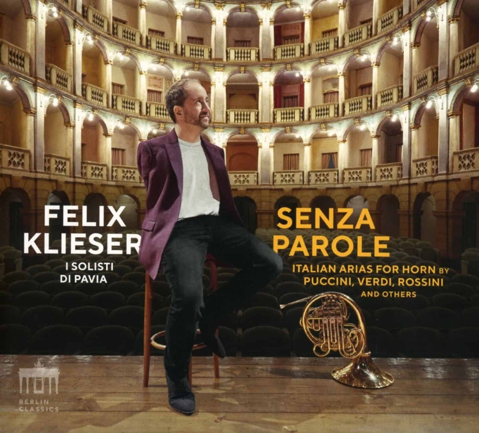 Cover: Senza Parole