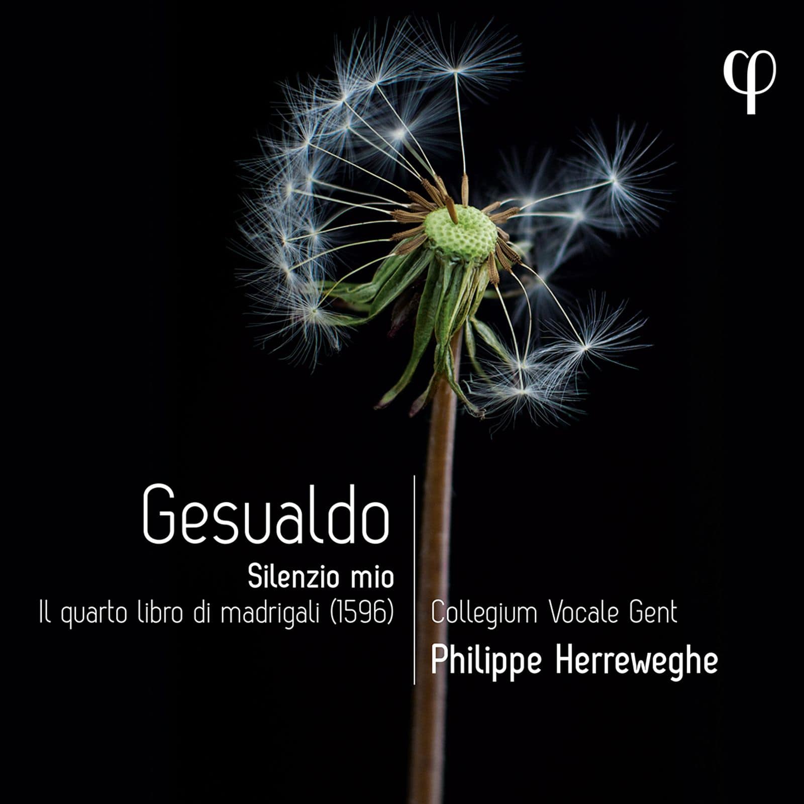 Cover: Silenzio mio