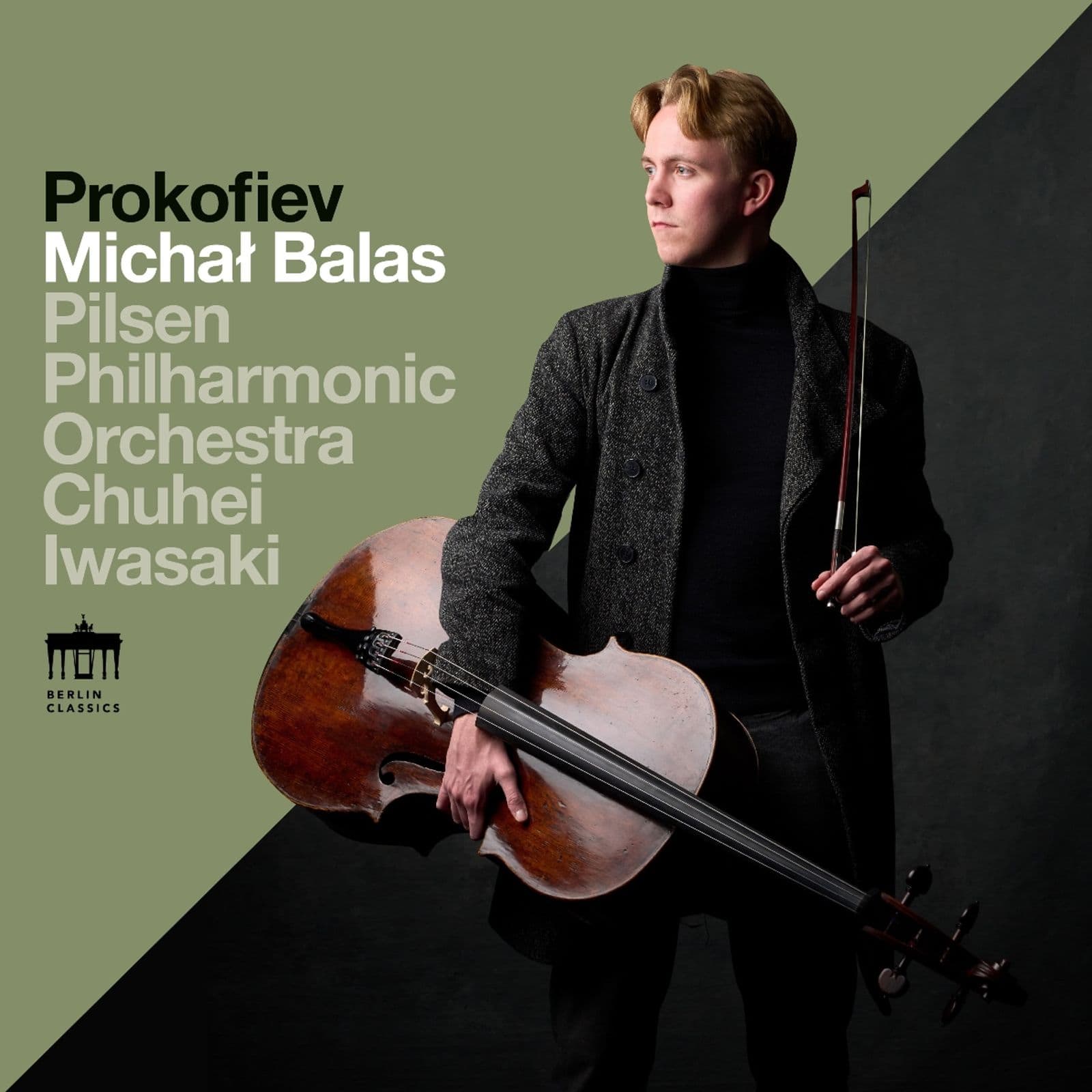 Cover: Sinfonia Concertante e-moll op.125