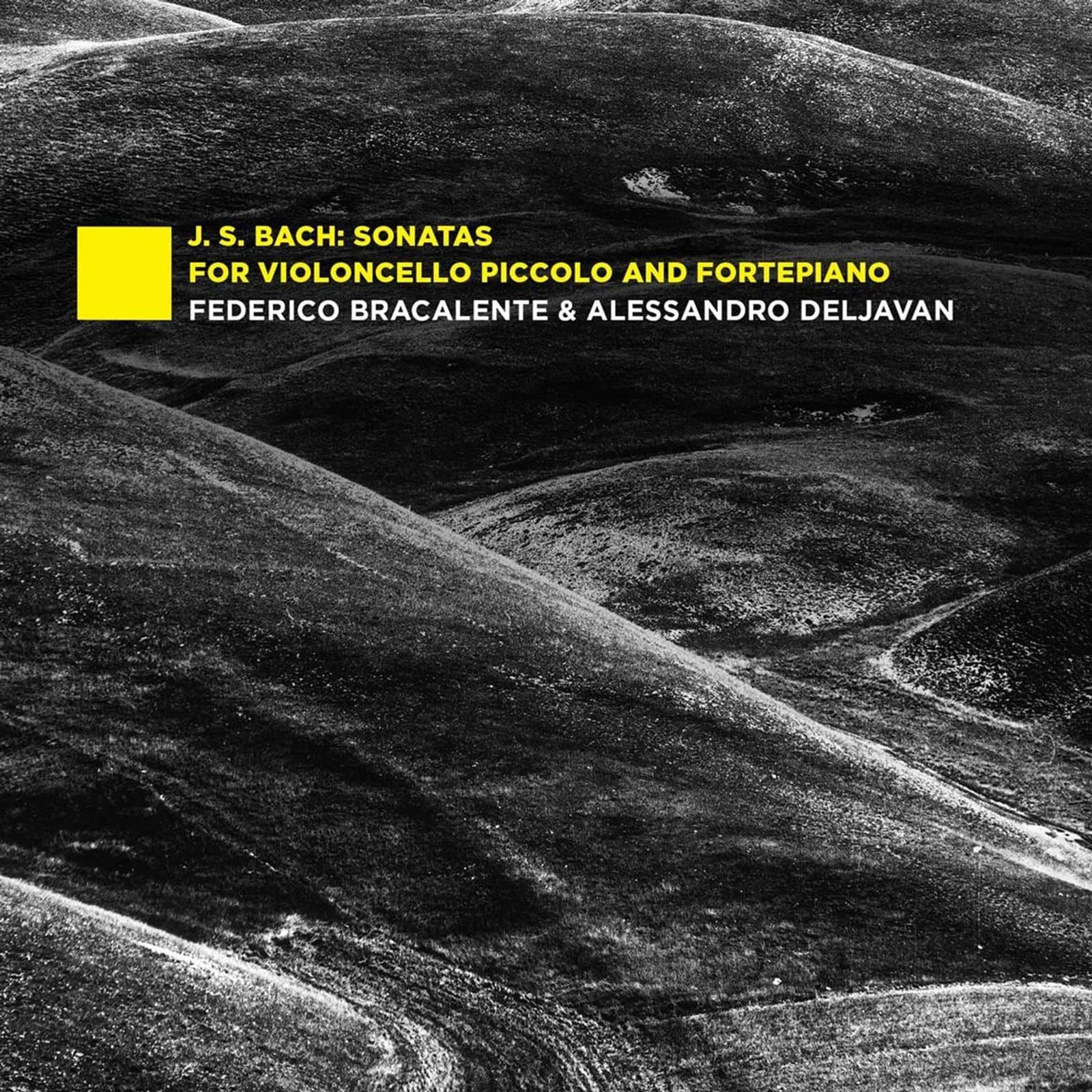 Cover: Sonatas for Violoncello Piccolo and Fortepiano