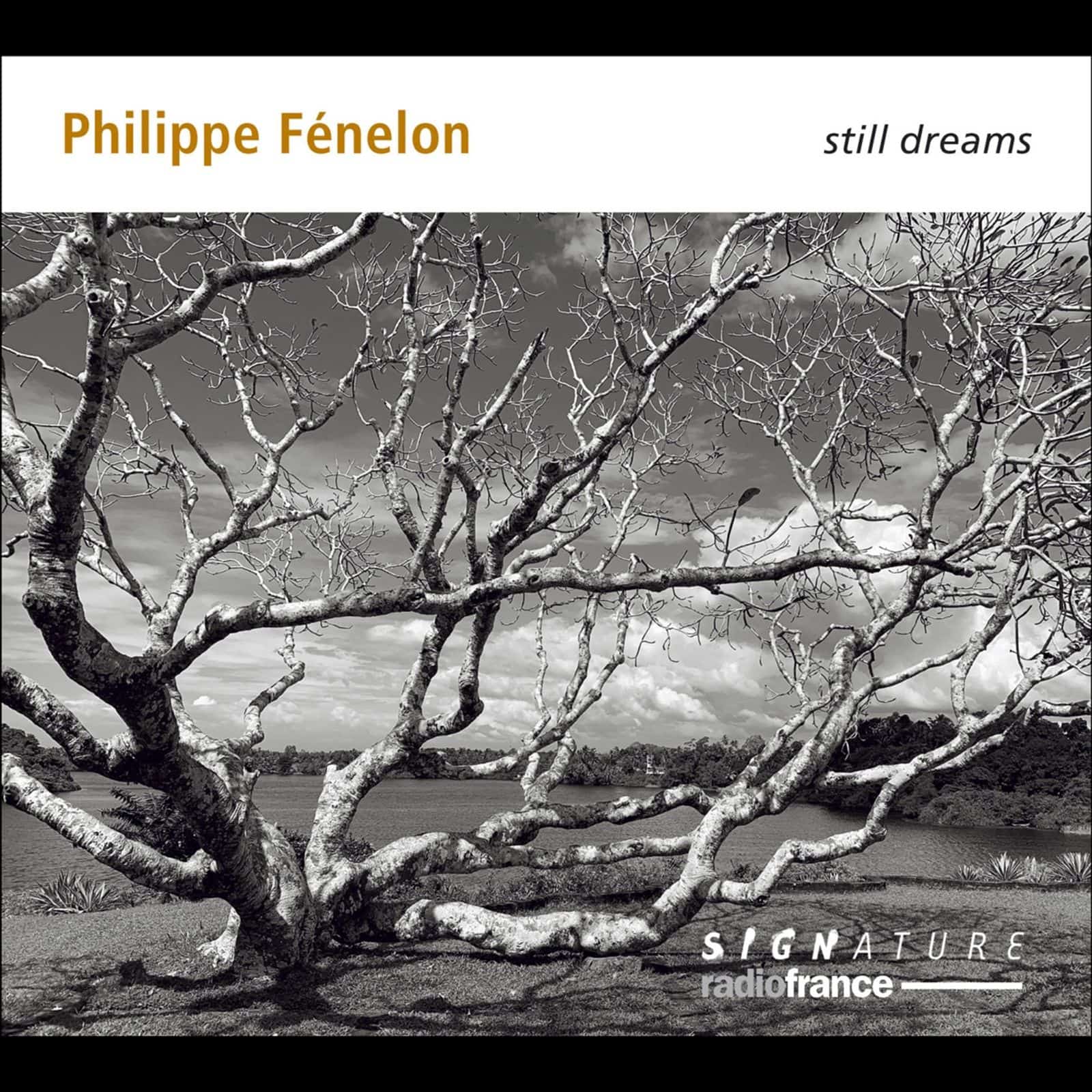 Cover: Still Dream