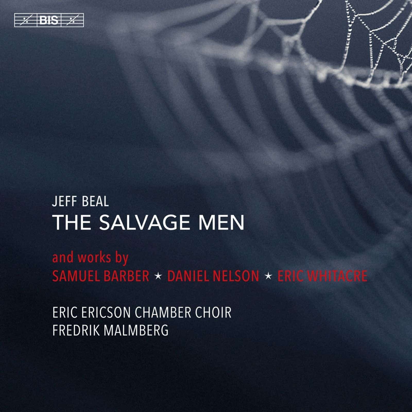 Cover: The Salvage Men