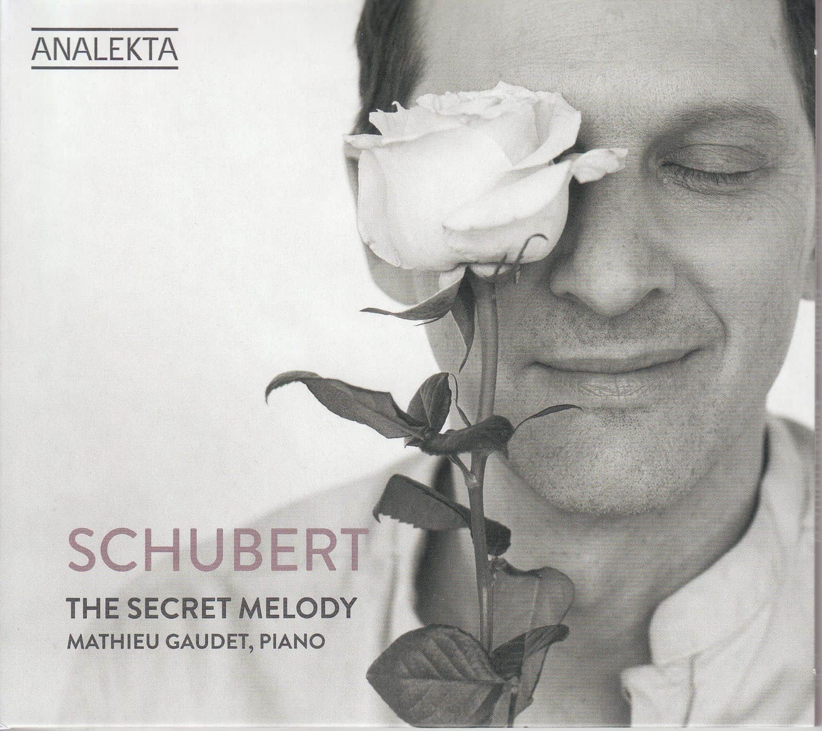 Cover: The Secret Melody