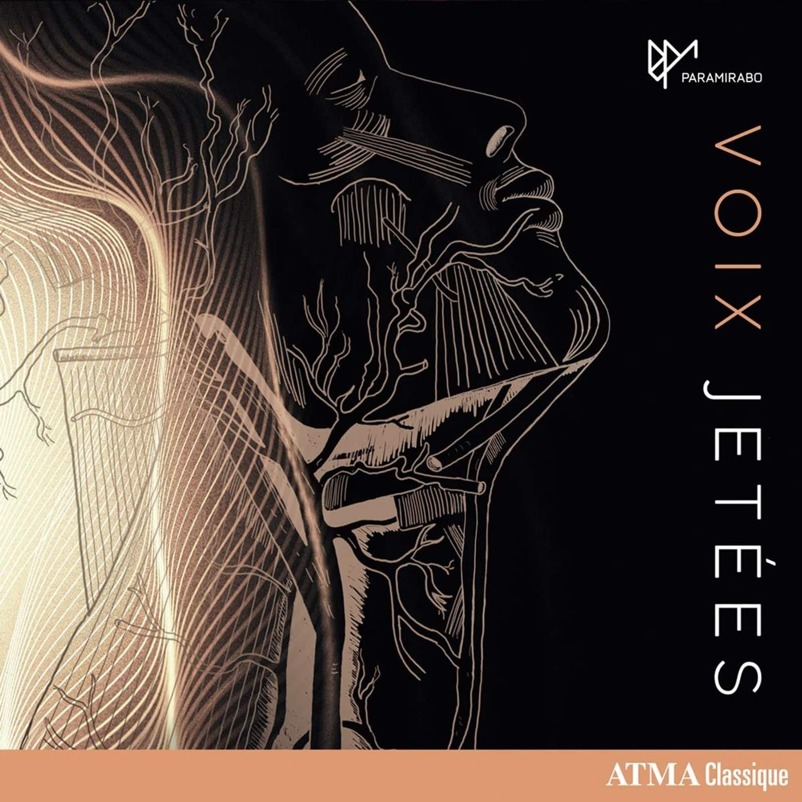 Cover: Voix jetées
