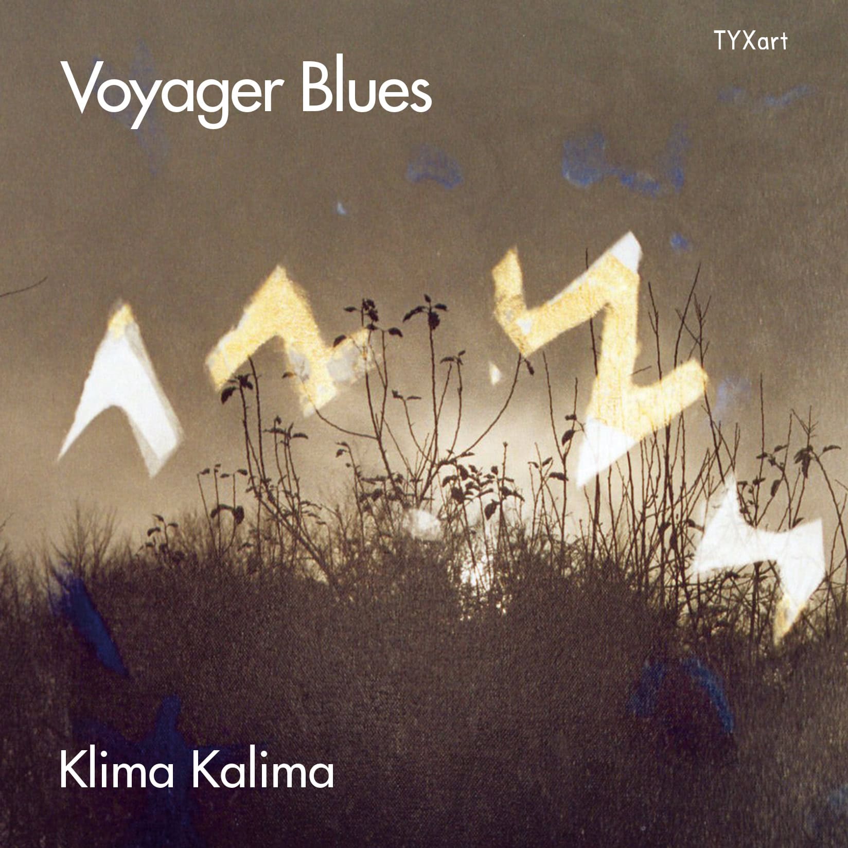 Cover: Voyager Blues