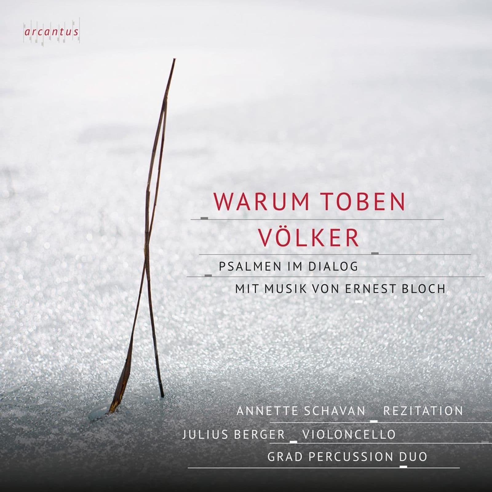 Cover: Warum toben die Völker
