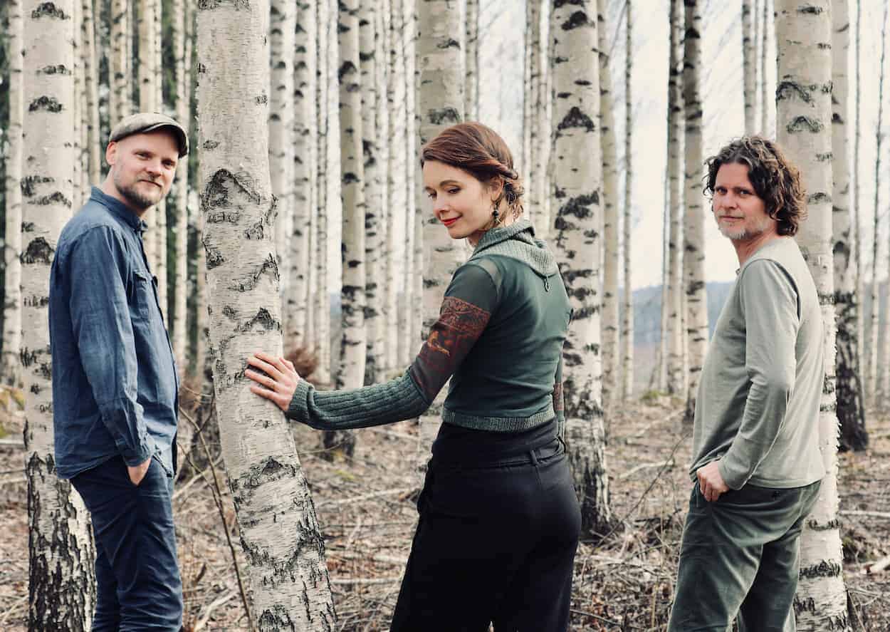 Komorebi met Trio Peltomaa Fraanje Perkola