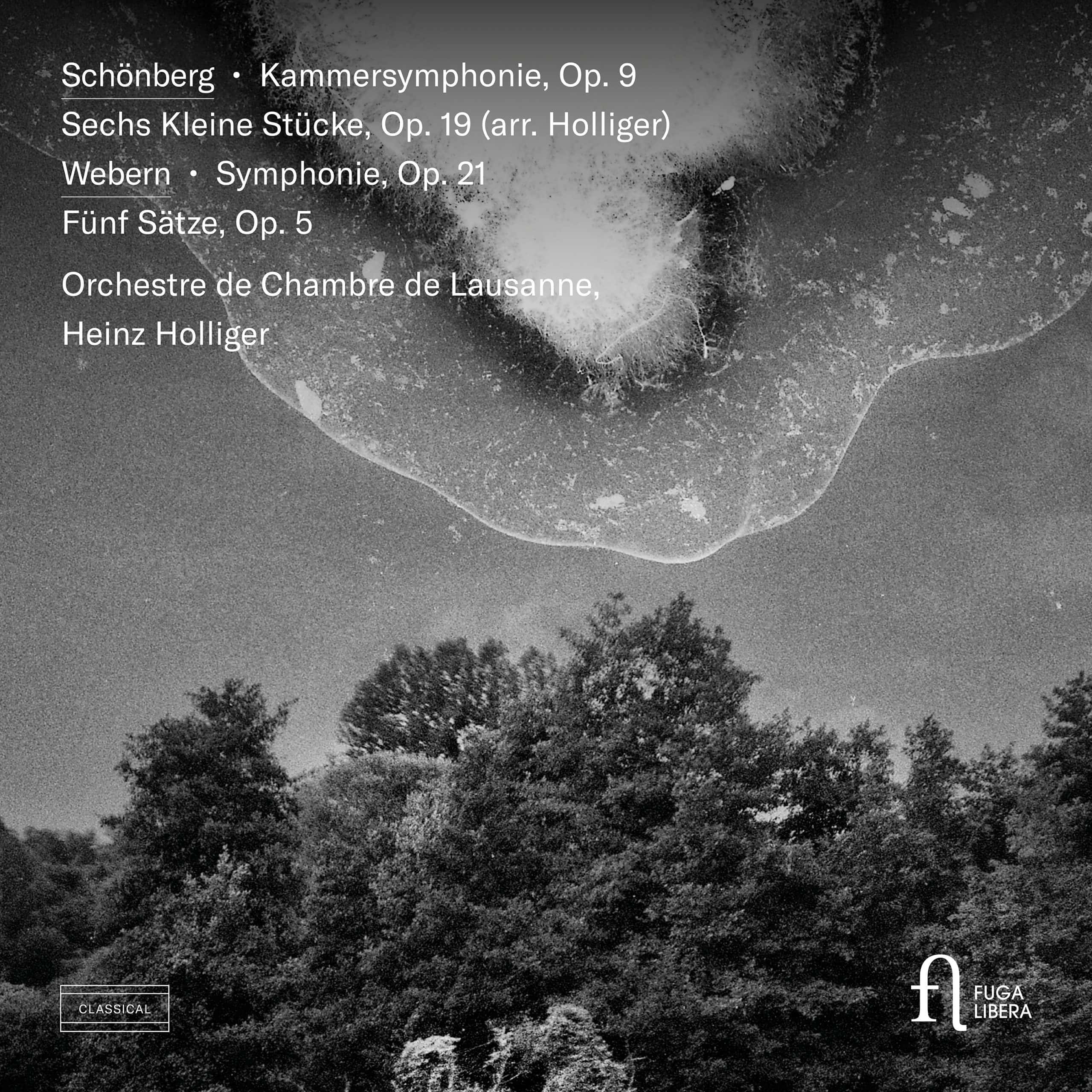 Schönberg & Webern: (Kammer)symphonie